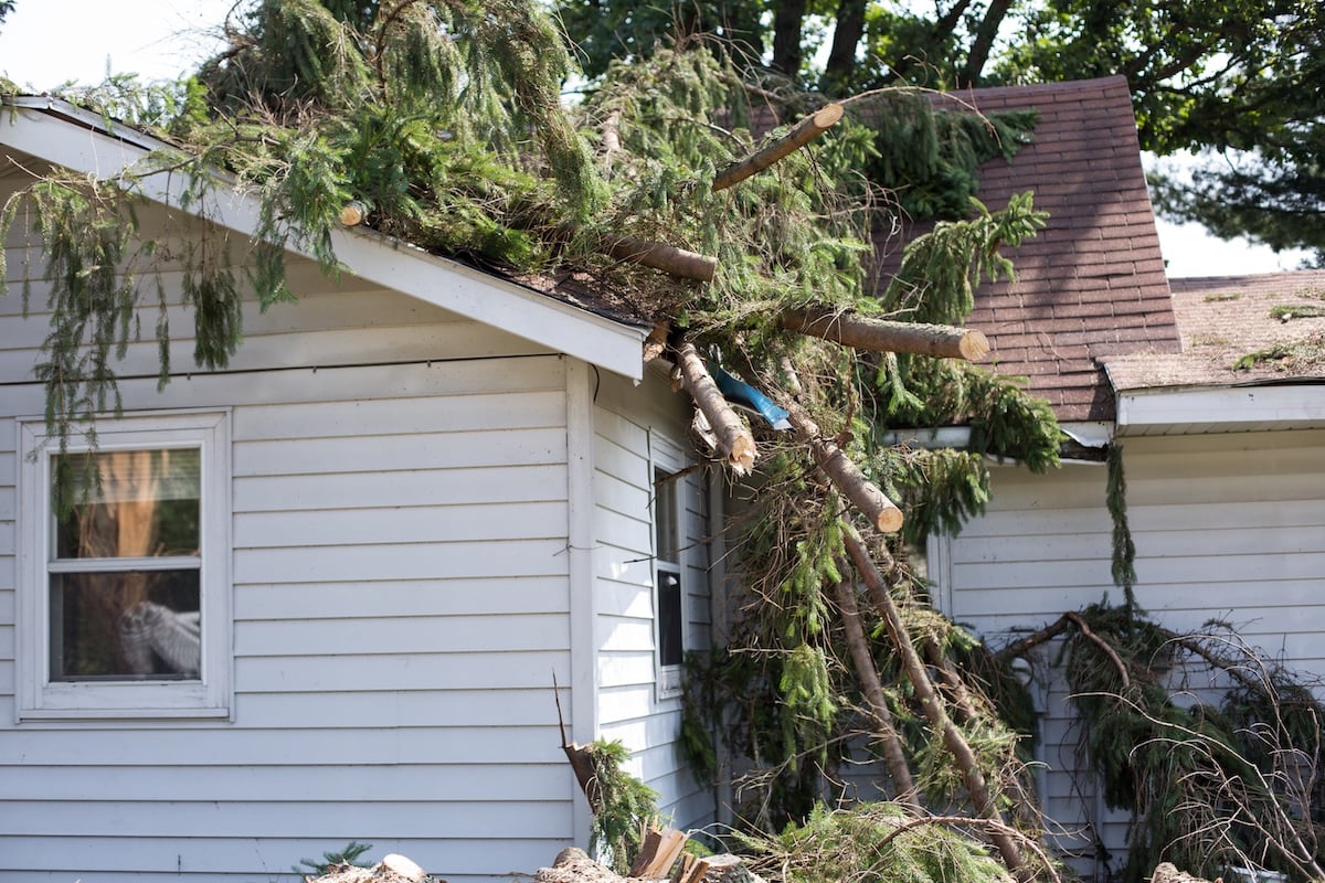 Home storm damage. insurance storm. Storm damage. Roof damage from tree that fell over during hurricane storm. A storm causes tree to fall and rip through the roof of a house. A tree falls lumberjack