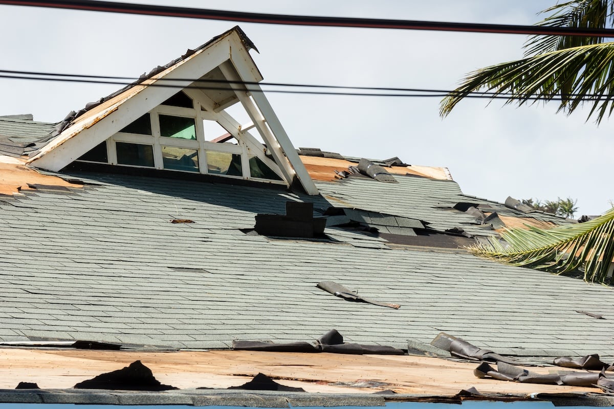 wind damage to home roof shingles