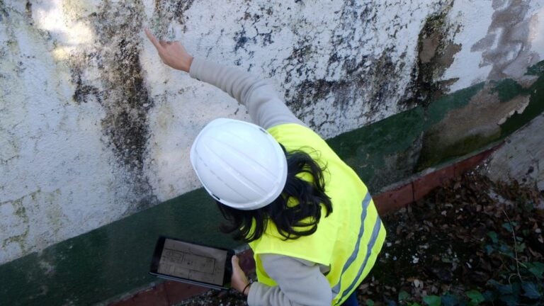 woman inspecting mold on wall