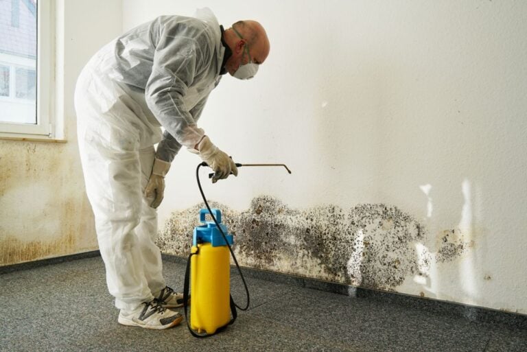 worker cleaning mold