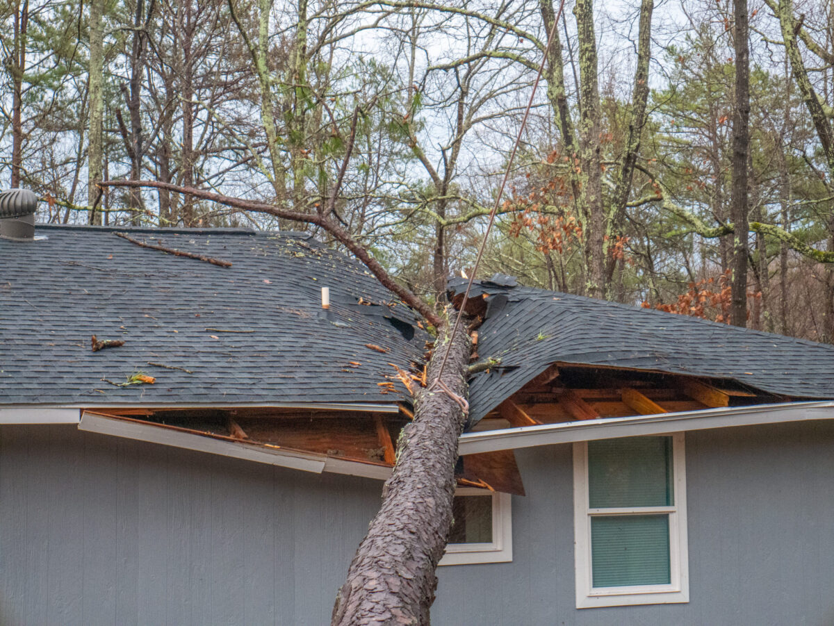 Storm damage tree on roof in Saks near Anniston, Alabama, Januar